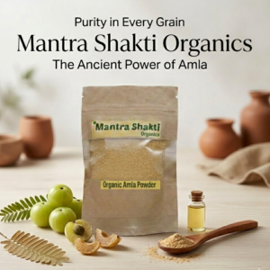 MantraShakti Organic Amla Powder – 100% Pure Indian Gooseberry for Immunity & Hair Care (100g)